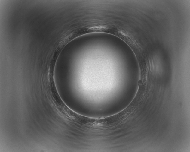 X0000083660647200702121217