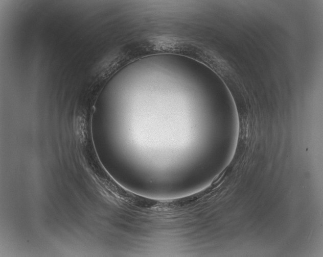 X0000083660648200702121217