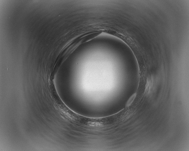 X0000083660649200702121217