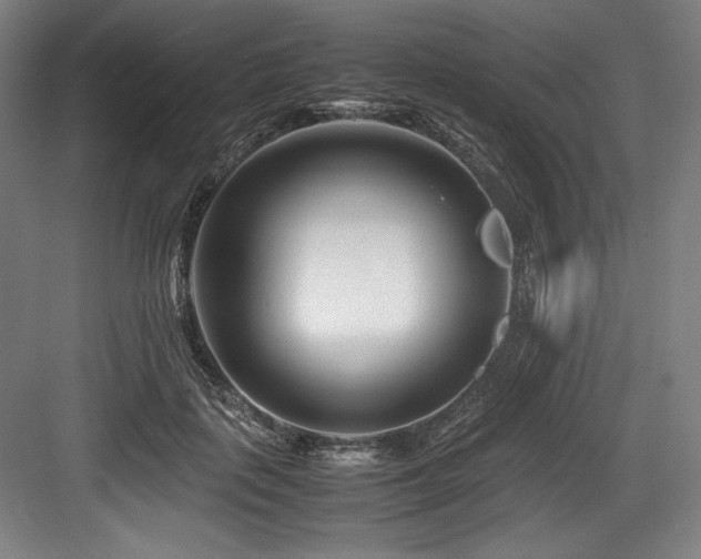 X0000083660651200702121217