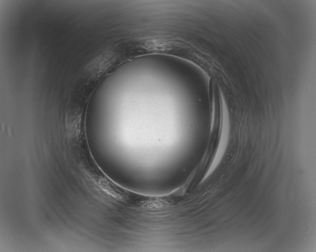 X0000083660652200702121217
