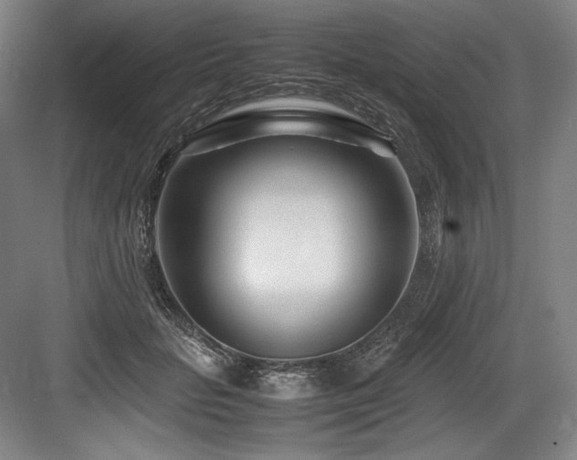 X0000083660653200702121217