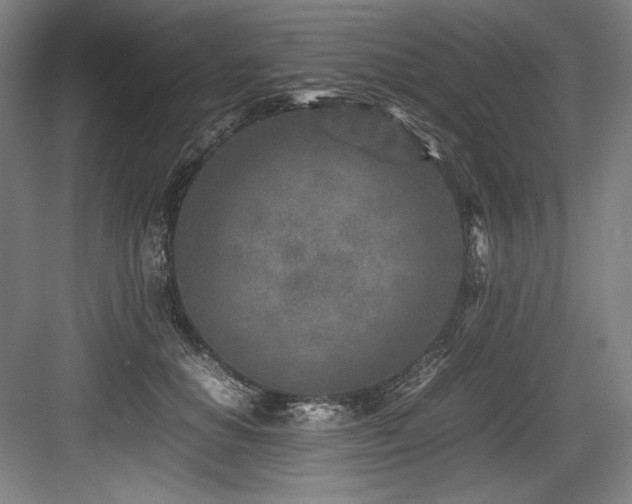X0000083660654200702121217