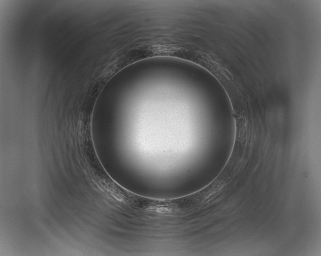 X0000083660655200702121217