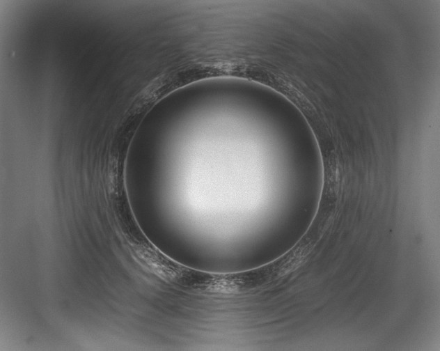 X0000083660656200702121217
