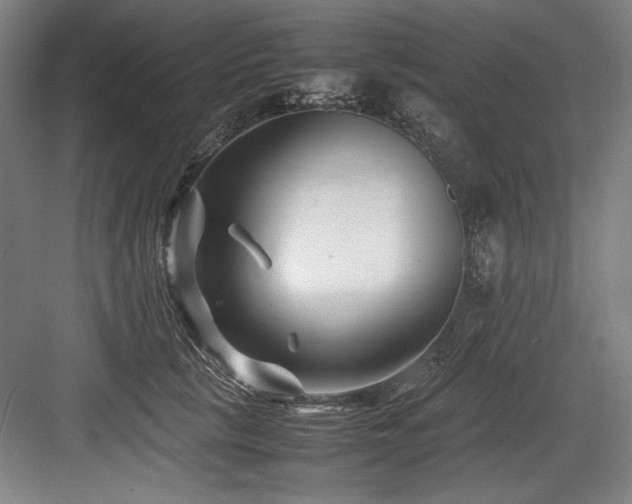 X0000083660657200702121217