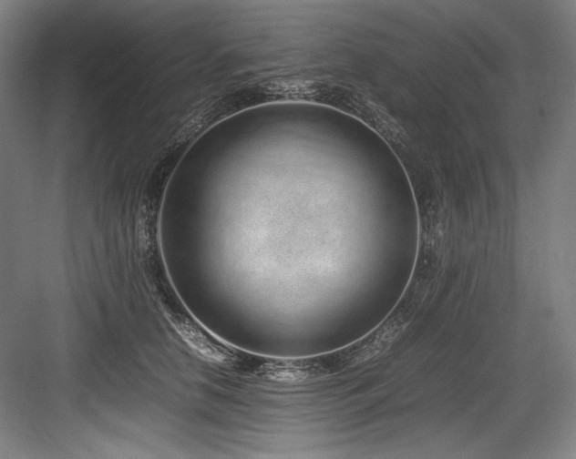 X0000083660658200702121217