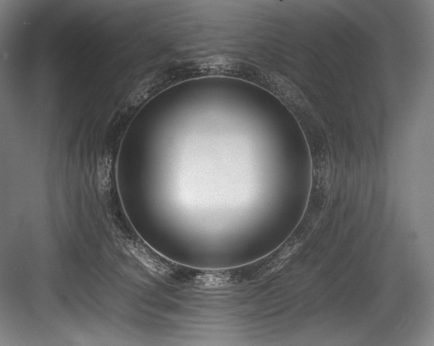 X0000083660660200702121217