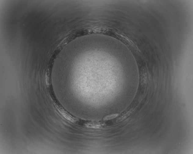 X0000083660661200702121217