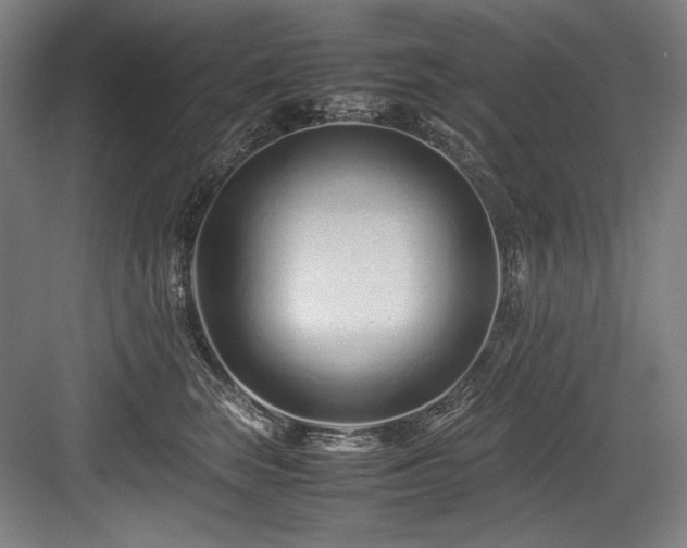 X0000083660663200702121217