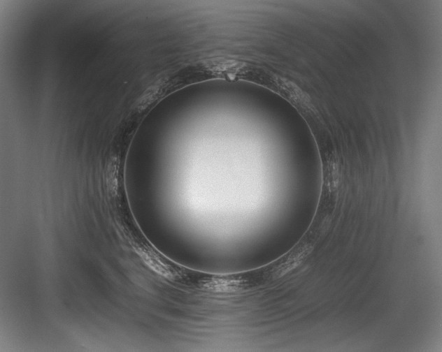 X0000083660664200702121217
