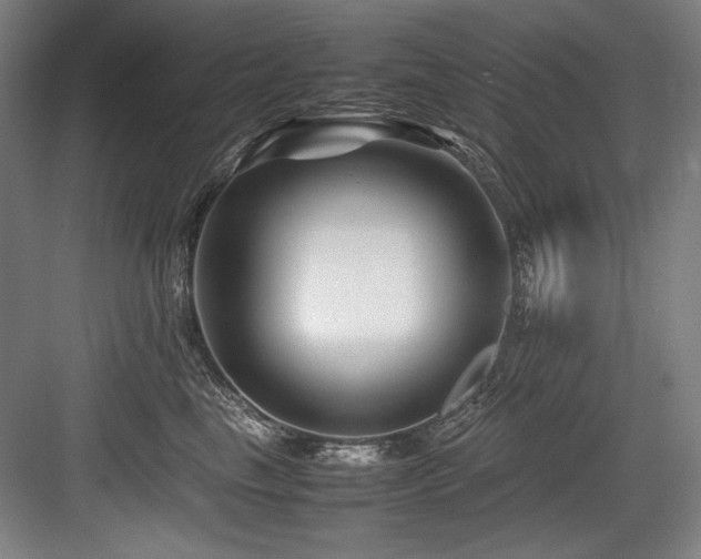 X0000083660665200702121217