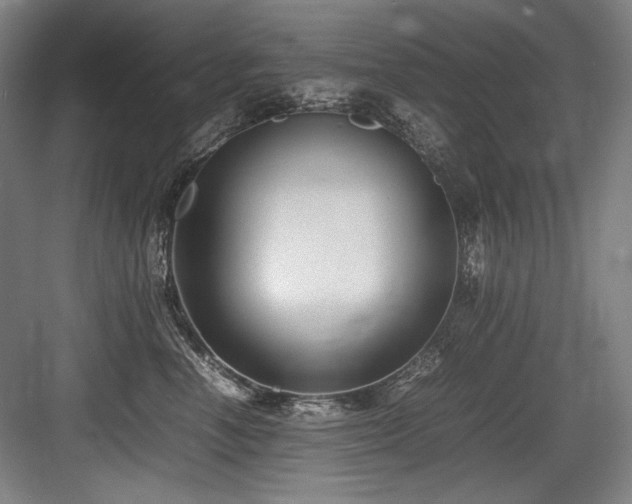 X0000083660666200702121217