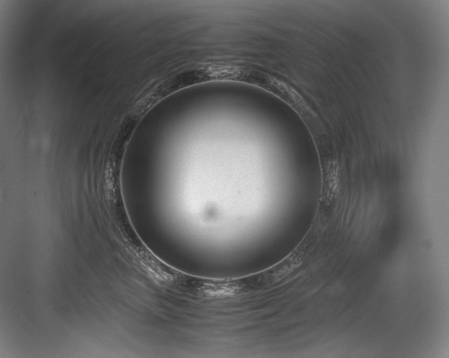 X0000083660667200702121217