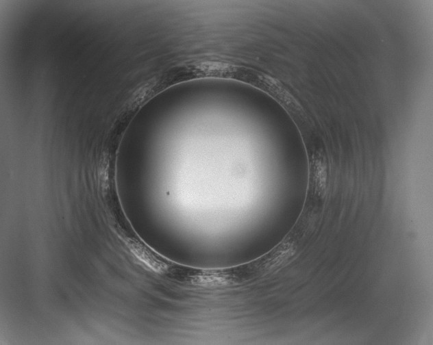 X0000083660668200702121217