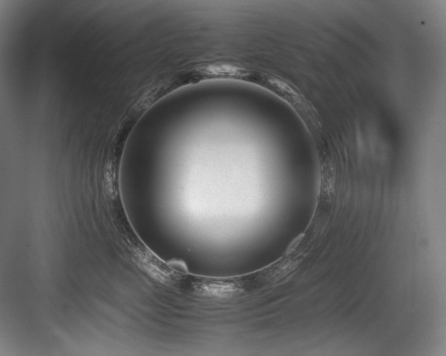X0000083660669200702121217