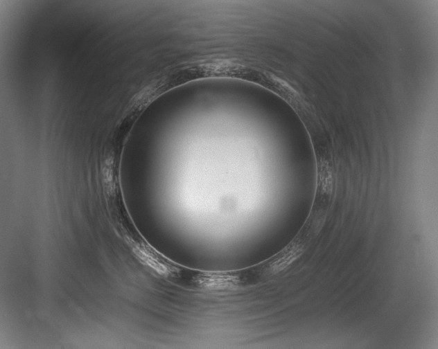 X0000083660670200702121217