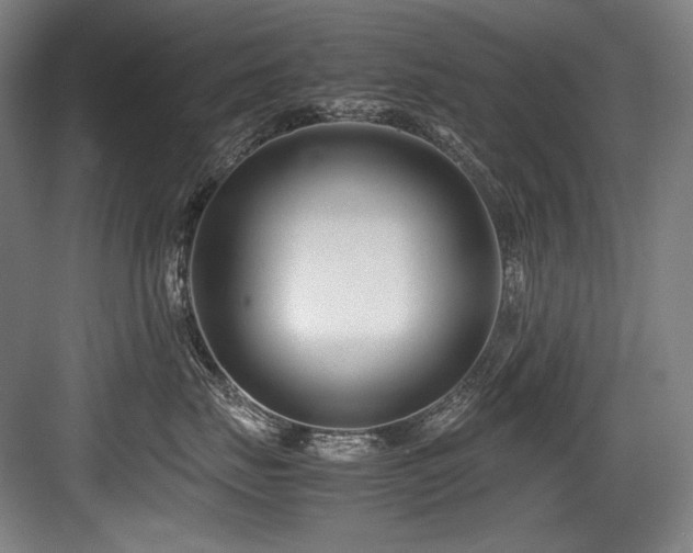 X0000083660671200702121217