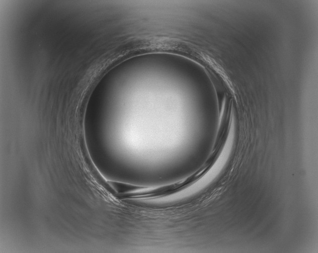 X0000083660673200702121217