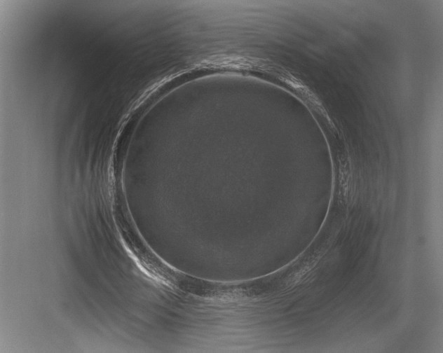 X0000083660674200702121217