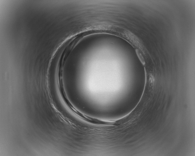 X0000083660676200702121216