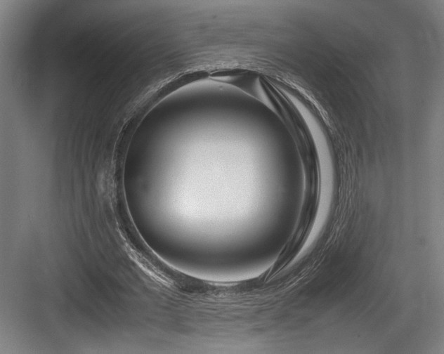 X0000083660677200702121216