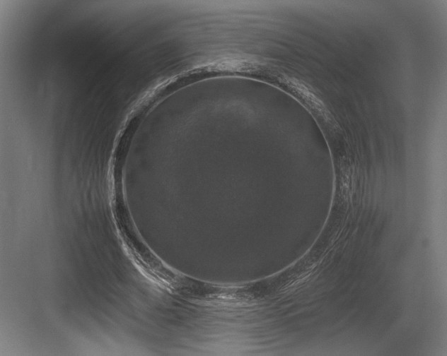X0000083660678200702121216