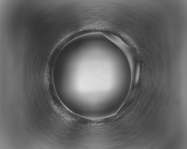 X0000083660680200702121216