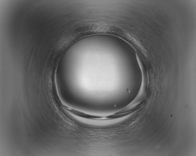 X0000083660681200702121216