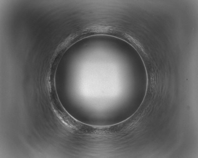 X0000083660682200702121216