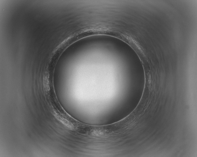 X0000083660684200702121216