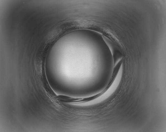 X0000083660685200702121216