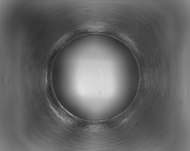 X0000083660686200702121216
