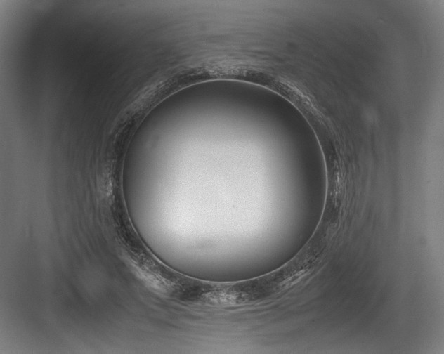 X0000083660687200702121216