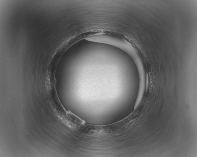 X0000083660688200702121216