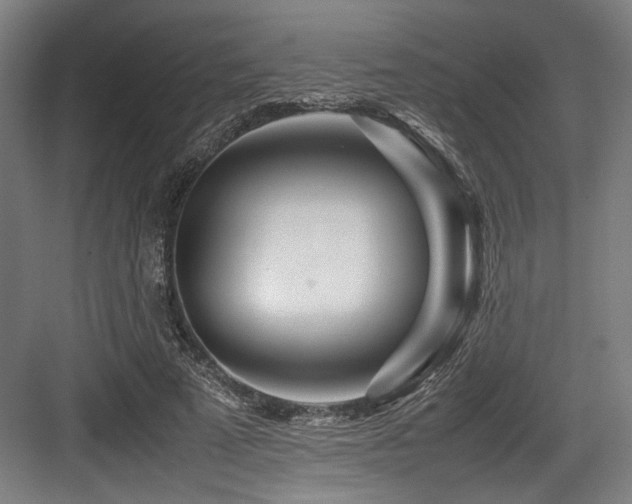 X0000083660689200702121216