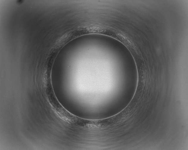 X0000083660690200702121216