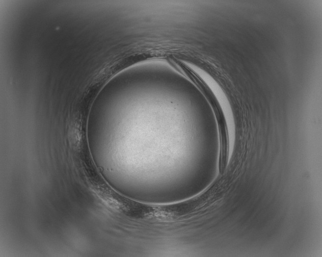 X0000083660691200702121216