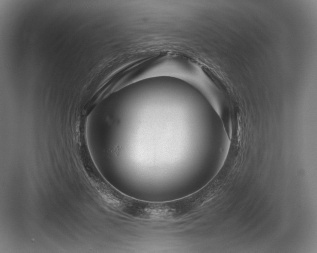 X0000083660693200702121216