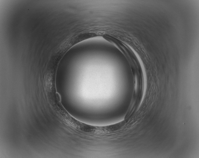X0000083660697200702121216