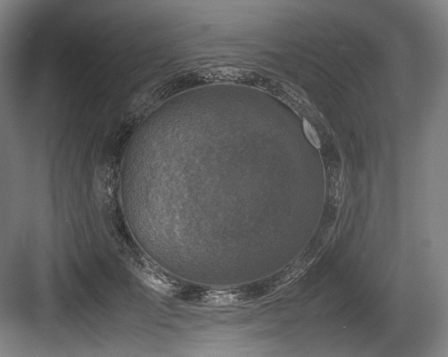 X0000083660701200702121216