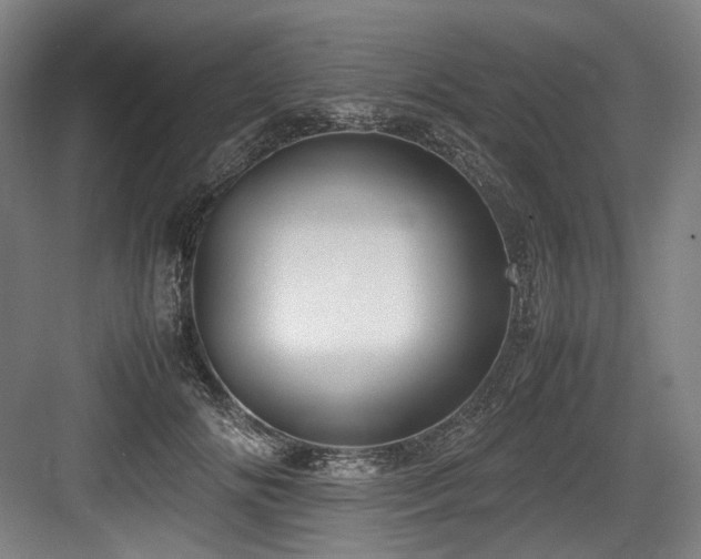 X0000083660702200702121216