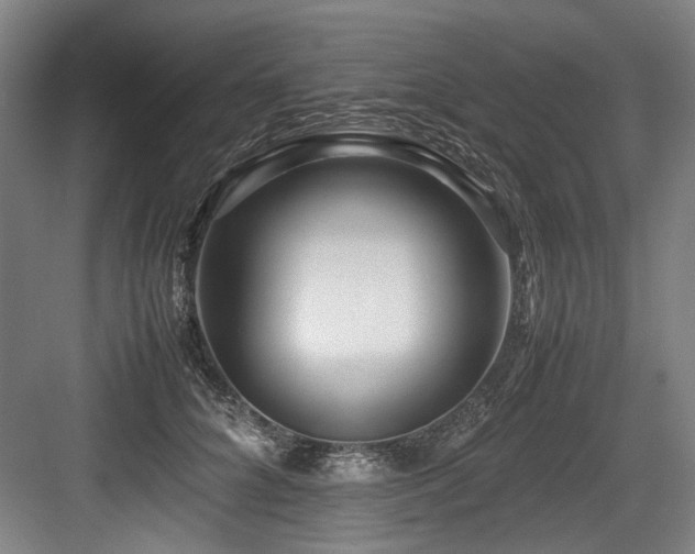 X0000083660704200702121216