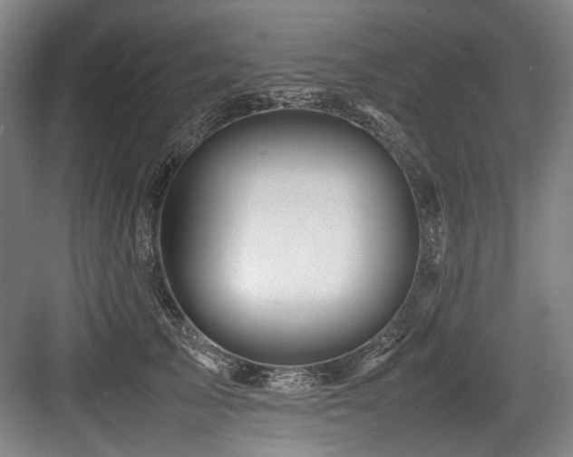 X0000083660705200702121216