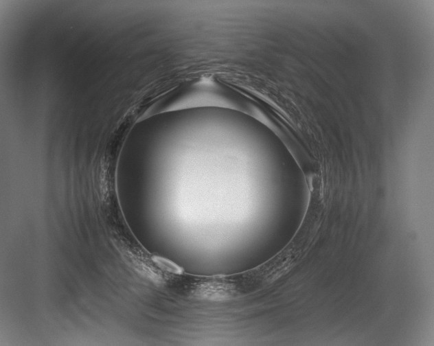 X0000083660708200702121216