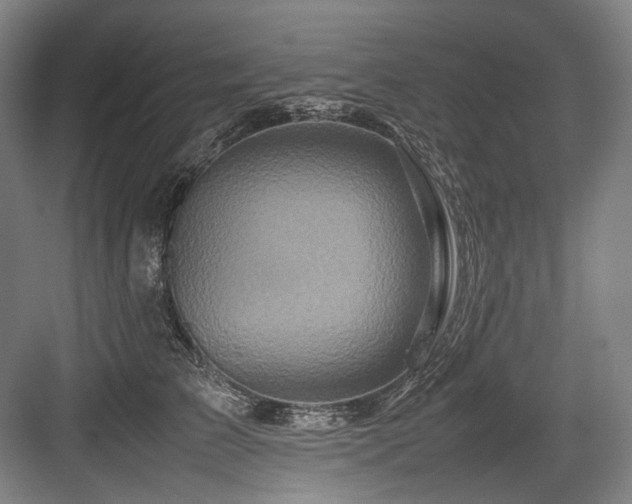 X0000083660709200702121216