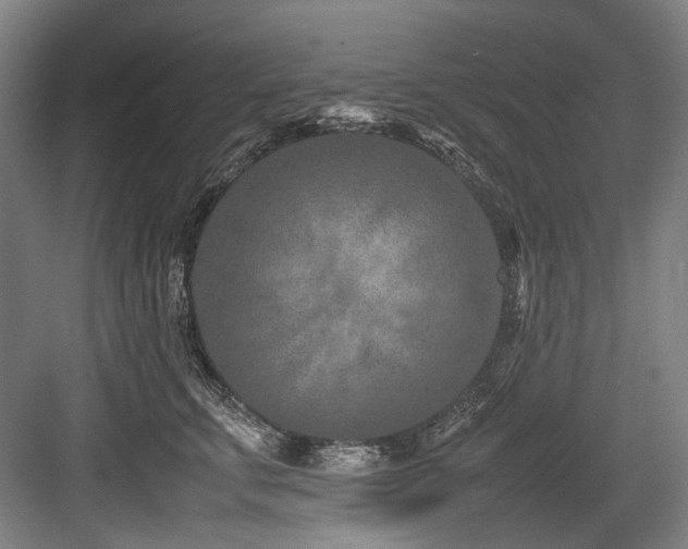 X0000083660711200702121216