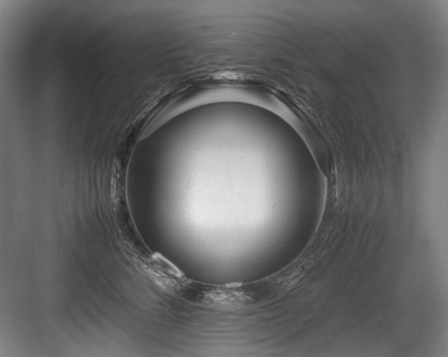X0000083660712200702121216