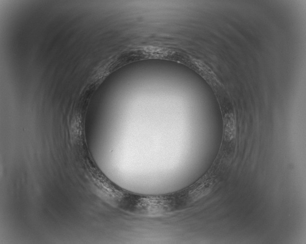 X0000083660713200702121216