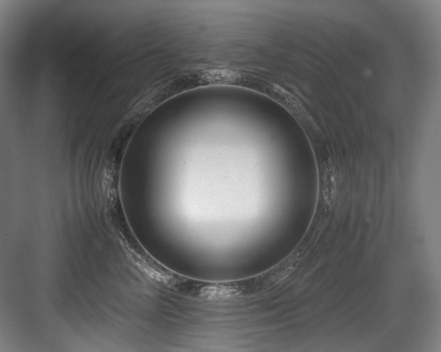 X0000083660714200702121216